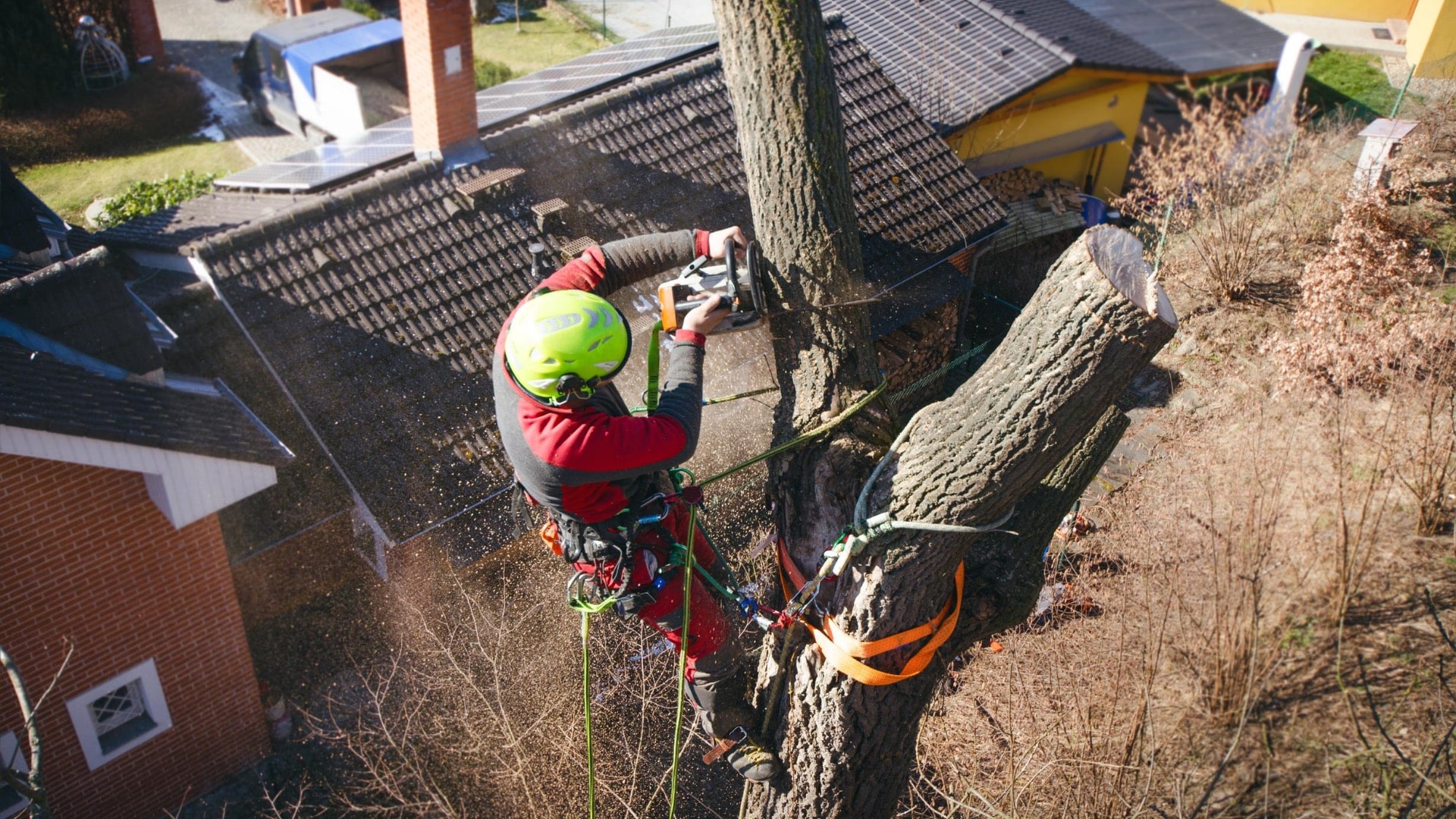 Carolina Tree Removal Pros of Cary Image